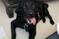 Max Max фотография #15 (источник - https://vk.com/id111886199)