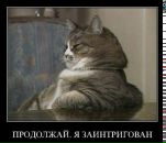 Фотография Ворон Татьяны