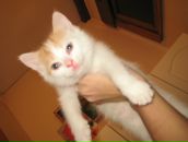 Фотография Красножона Димы