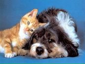 Фотография Никифоровой Светланы