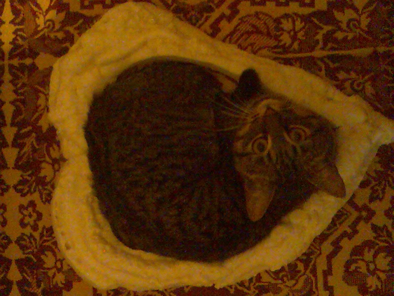 Владимир Щербаков фотография #45