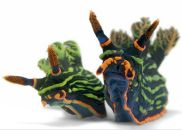 Фотография Кузнецовой Людмилы