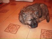 Леся Вінсковська фотография #10 (источник - https://vk.com/id116319344)