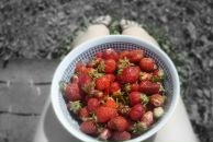 Фотография Провоторовой Маргариты