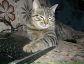 Фотография Емельянова Андрея