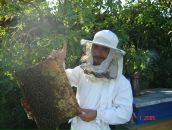 Фотография Халикова Рамиля