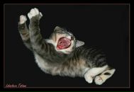 Фотография Хадыевой Зульфии