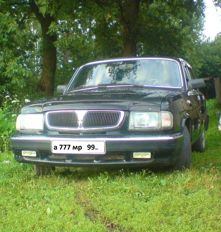 Алексей Савельев фотография #28