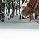 Сергій Даценко фотография #6 (источник - https://vk.com/id155483761)