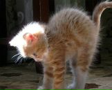 Фотография Богданова Виктория