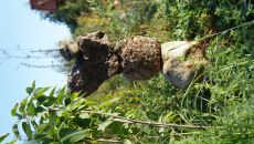 Дмитрий Крамарев фотография #23 (источник - https://vk.com/id274882)