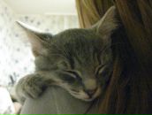 Фотография Андреевич Владислав