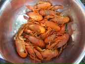 Діма Делікатний фотография #9 (источник - https://vk.com/id12336654)