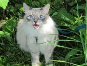 Фотография Багин Александр