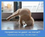 Фотография Михайловой Ольги