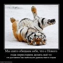 Дмитрий Бондарь фотография #43 (источник - https://vk.com/id2666436)