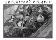 Фотография Корсака Сергея