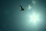 Даша Штіль фотография #32 (источник - https://vk.com/id49061669)