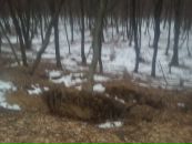 Міша Сотурчaк фотография #8 (источник - https://vk.com/id134407406)