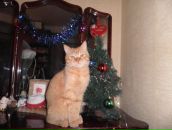 Фотография Фадеевой Ксении