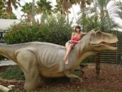 Фотография Завьялова Савиной Надежды