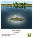 Робі Кошут фотография #21 (источник - https://vk.com/id96269647)