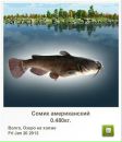 Робі Кошут фотография #15 (источник - https://vk.com/id96269647)