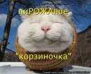 Фотография Коляскиной Ольги