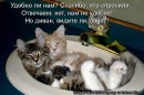 Иришка Венцова фотография #39 (источник - https://vk.com/id4664078)