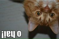 Фотография Filippova Aleksandra