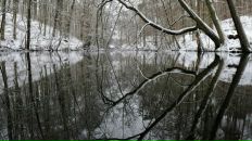 Фотография Старостина Ивана