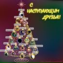 Фотография Чвалун Екатерины