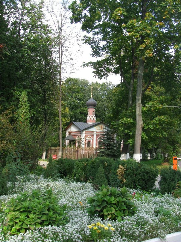 Юля Брагина фотография #7