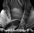 Фотография Верхоланцевой Татьяны