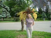 Світлана Яхнів фотография #20 (источник - https://vk.com/id68073106)