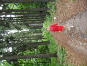 Алексей Маринченко фотография #46 (источник - https://vk.com/id55842500)