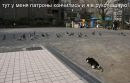 Сергій Богусевич фотография #28 (источник - https://vk.com/id63311509)