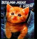 Софочка Іванів фотография #20 (источник - https://vk.com/id115544025)