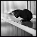 Фотография Головковой Ольки