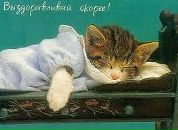 Вікуся Новосад фотография #2 (источник - https://vk.com/id106792118)