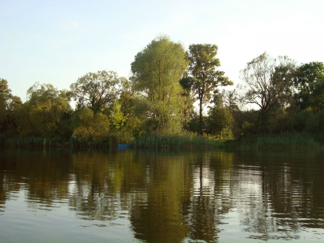 Антон Кропачев фотография #19