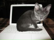 Дмитрий Акинин фотография #28 (источник - https://vk.com/id1788768)