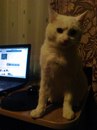 Владіслав Бурлака фотография #28 (источник - https://vk.com/id136186477)