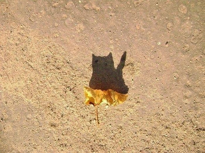 Евгений Викторов фотография #31