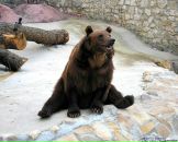 Вєталь Федик фотография #21 (источник - https://vk.com/id43598516)