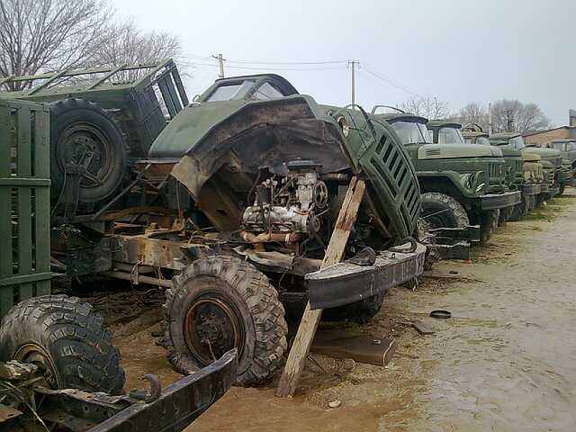 Вовчик Валуев фотография #6