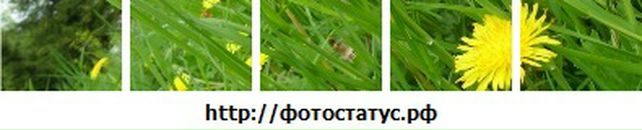 Максим Лісовський фотография #30 (источник - https://vk.com/id92939231)