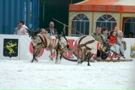 Дмитрий Плосконосов фотография #19 (источник - https://vk.com/id9505679)