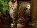 Лізуня Семерак фотография #39 (источник - https://vk.com/id170493585)