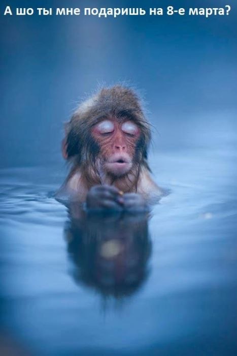 Дмитрий Вантеев фотография #20